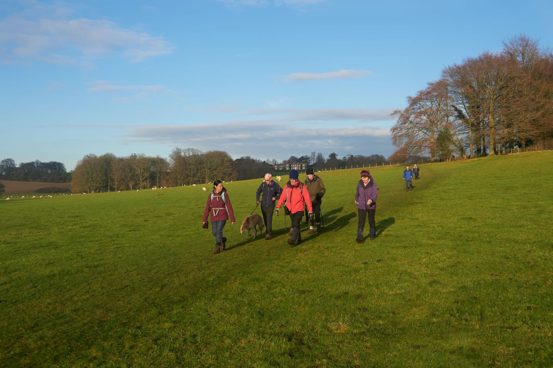 walkers across winter field